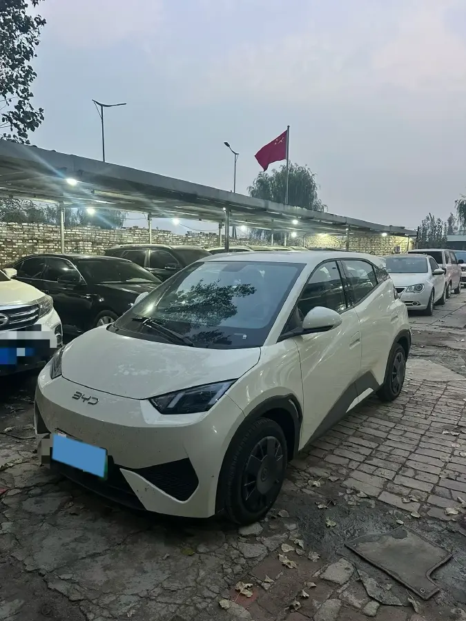 2025 BYD Seagull BEV 30.08KWH