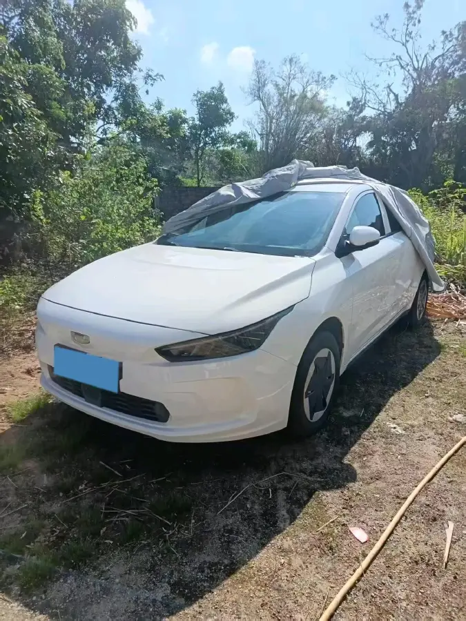 2024 Geometry A BEV 46.11KWH