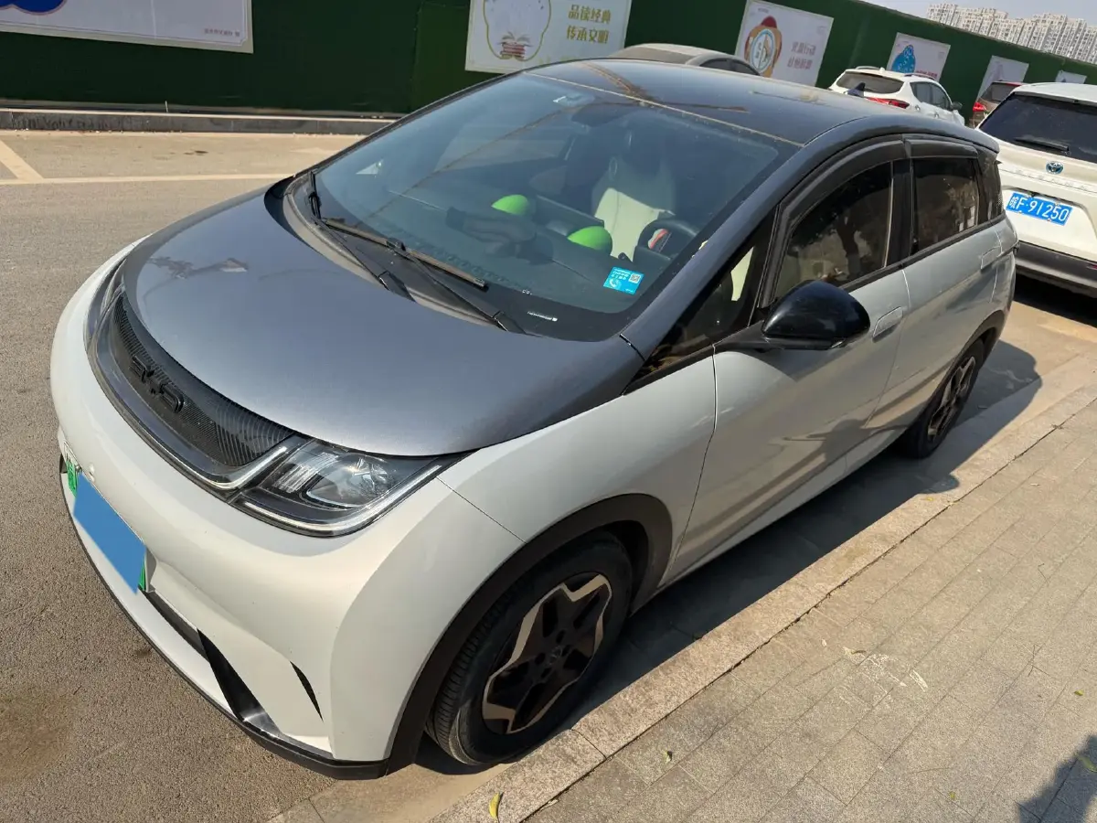 2021 BYD Yuan Pro BEV 50.1KWH