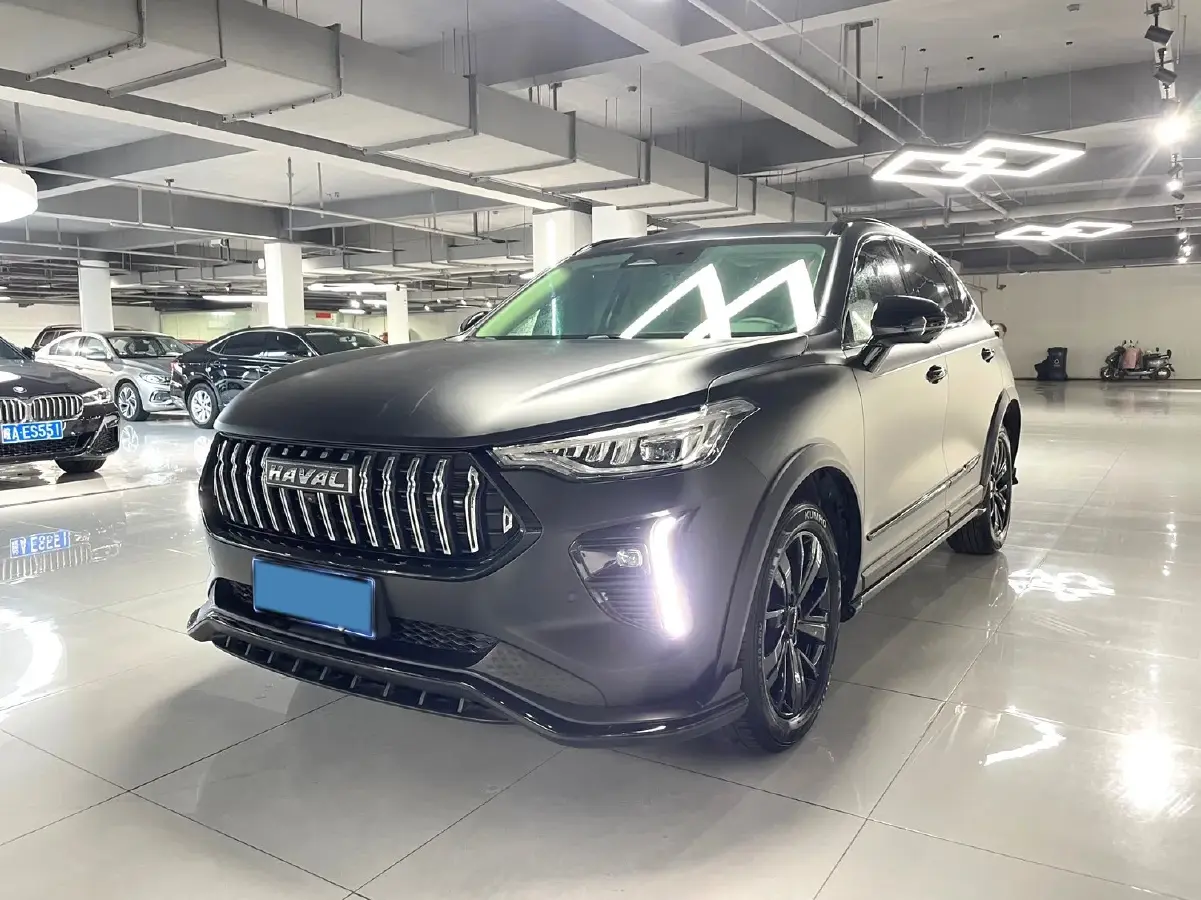 2021 Haval Rabbit 1.5T 184HP L4 7DCT