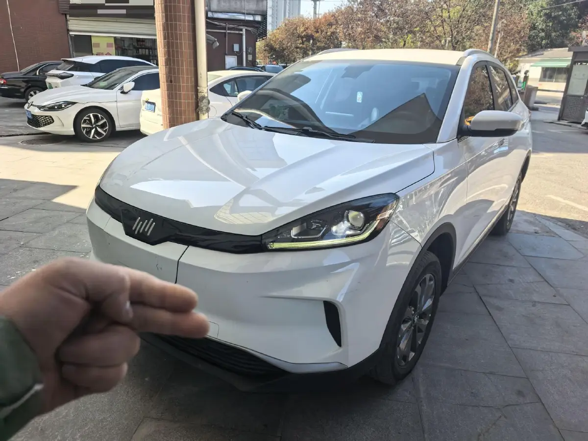 2020 Weltmeister EX5 BEV 52.56KWH