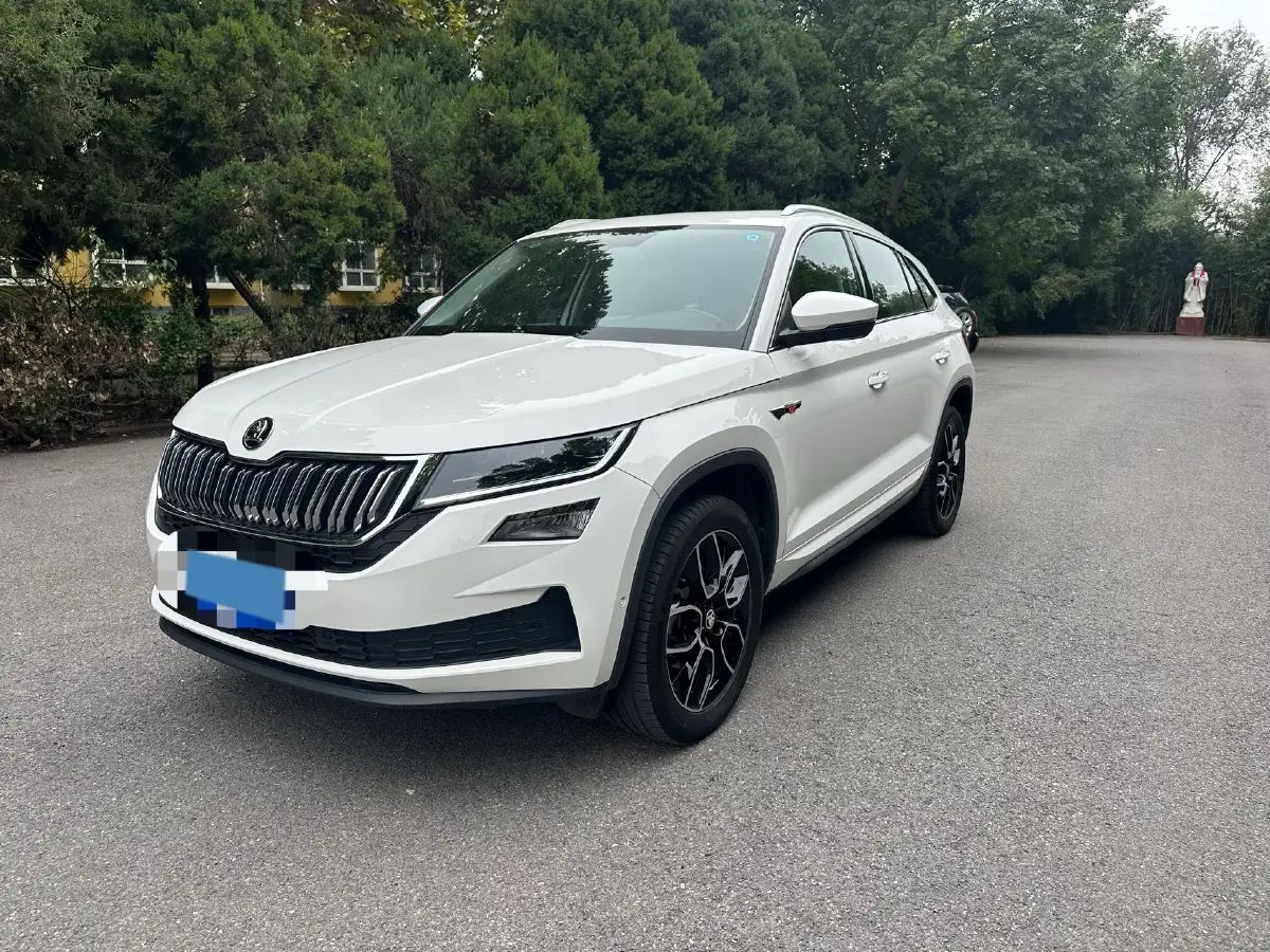 2019 BYD Song BEV 61.9KWH