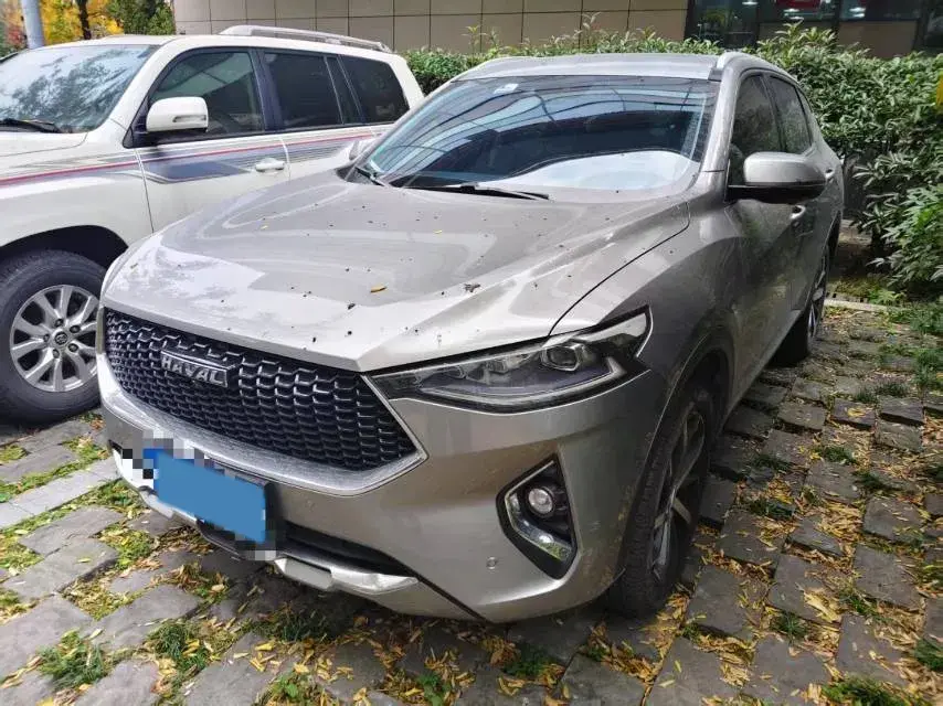 2019 Haval F7 1.5T 169HP L4 7DCT
