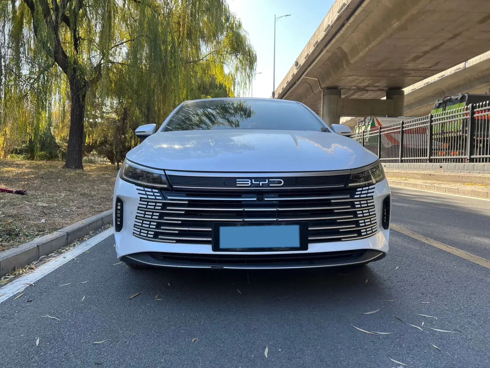 2023 BYD DESTROYER thumbnail 2