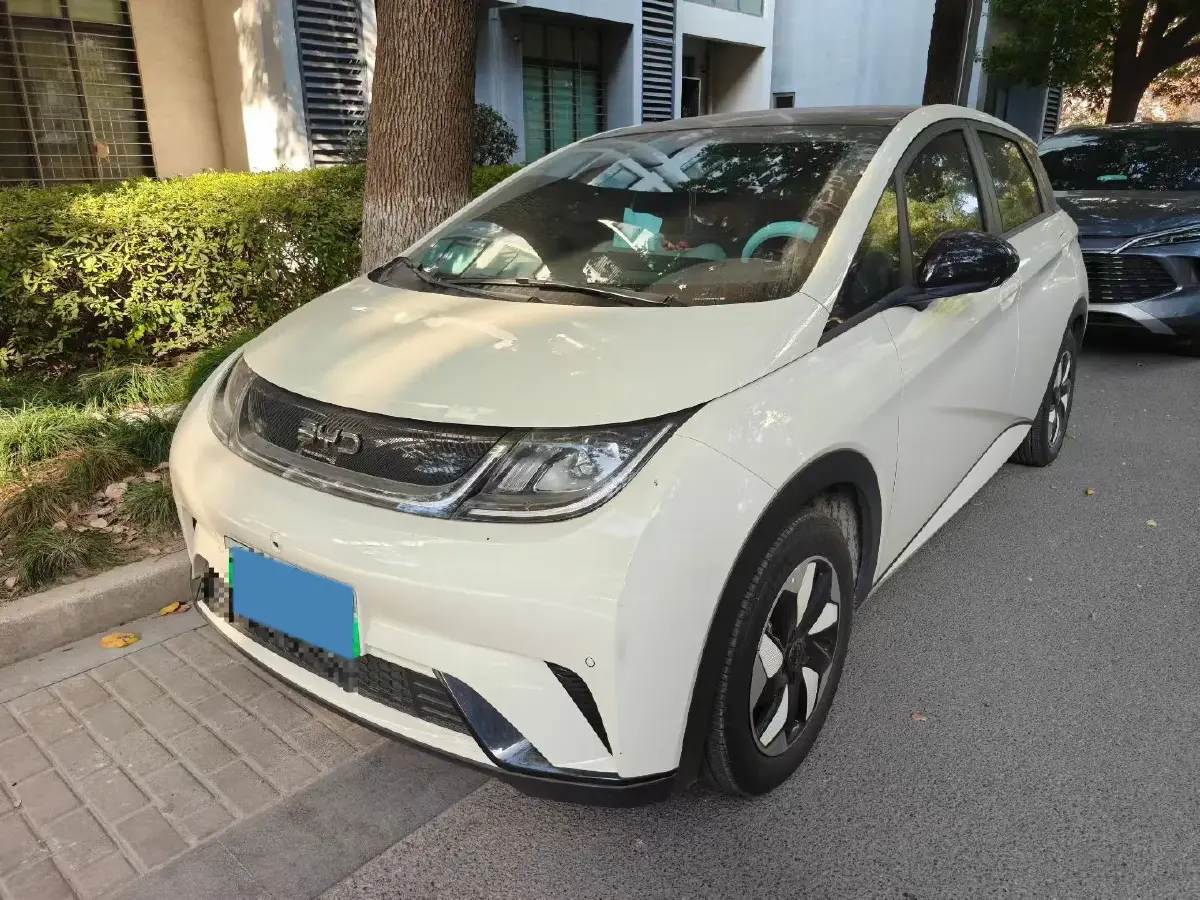 2025 BYD Dolphin BEV 44.928KWH