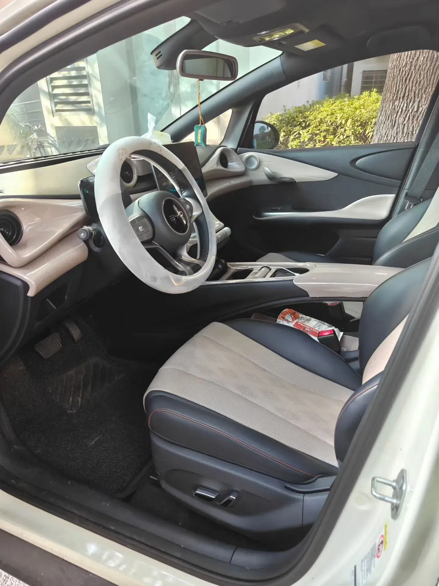 2025 BYD DOLPHIN thumbnail 4