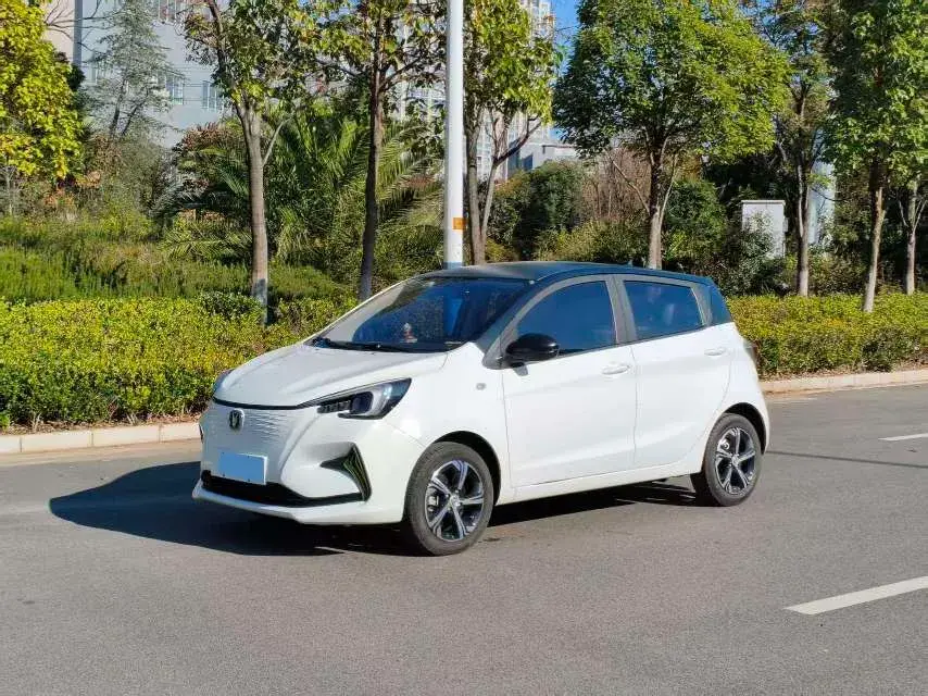 2020 ChangAn BenBen E-Star BEV 32.2KWH