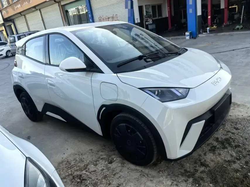 2025 BYD SEAGULL thumbnail 2