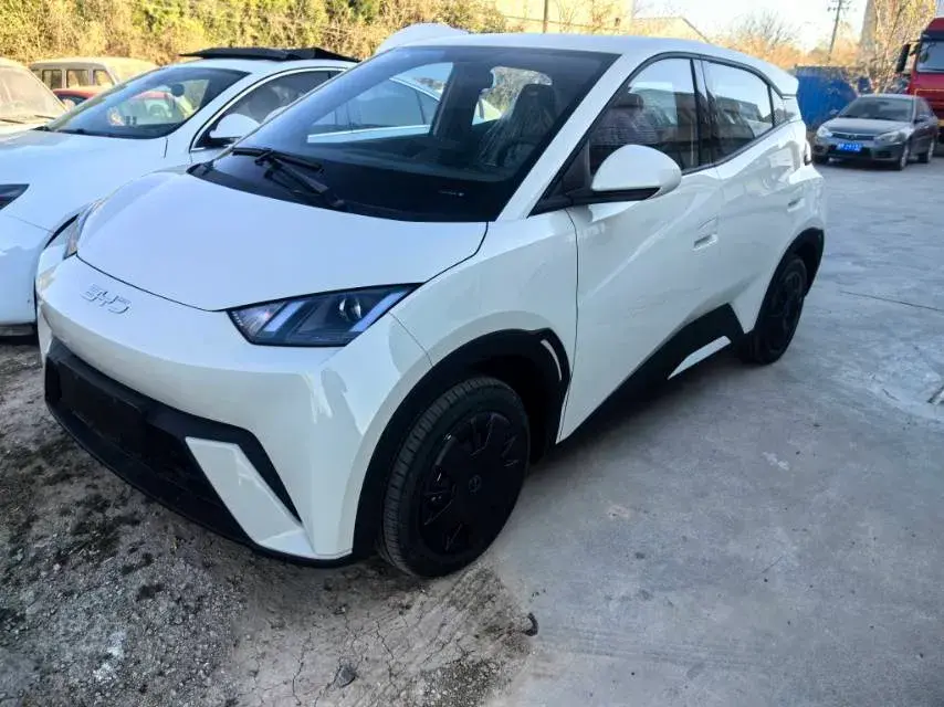 2025 BYD Seagull BEV 30.08KWH