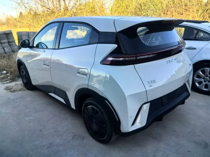 2025 BYD SEAGULL thumbnail 4