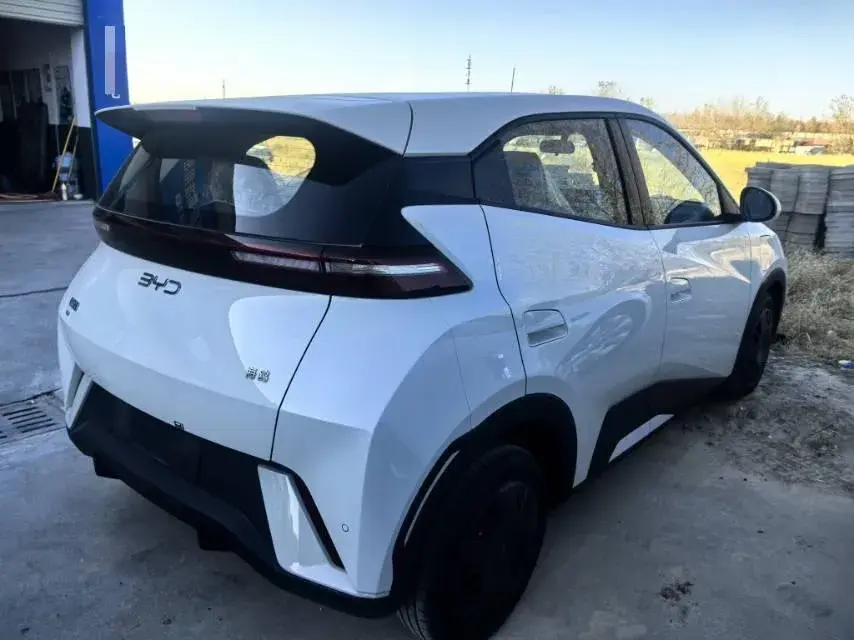 2025 BYD SEAGULL thumbnail 3