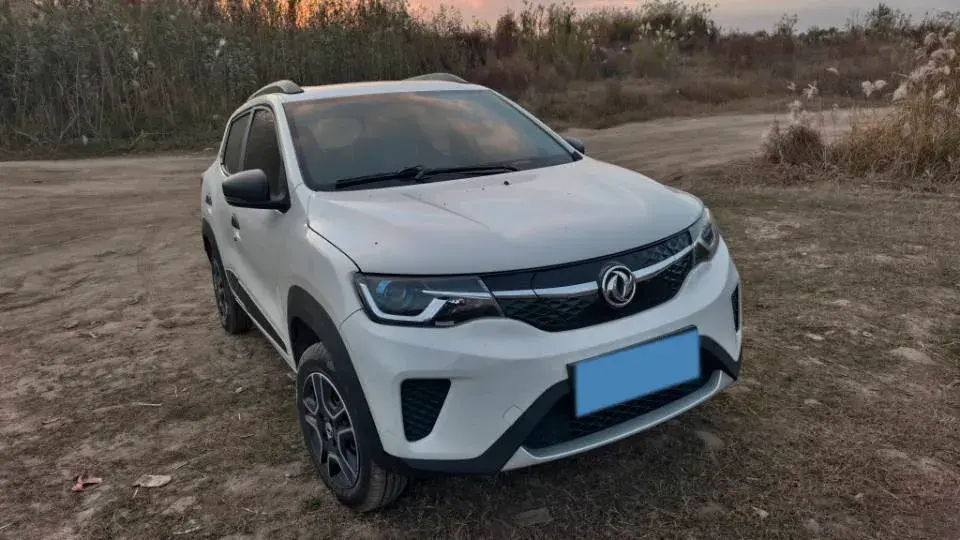 2021 DONGFENG NAMMI thumbnail 2