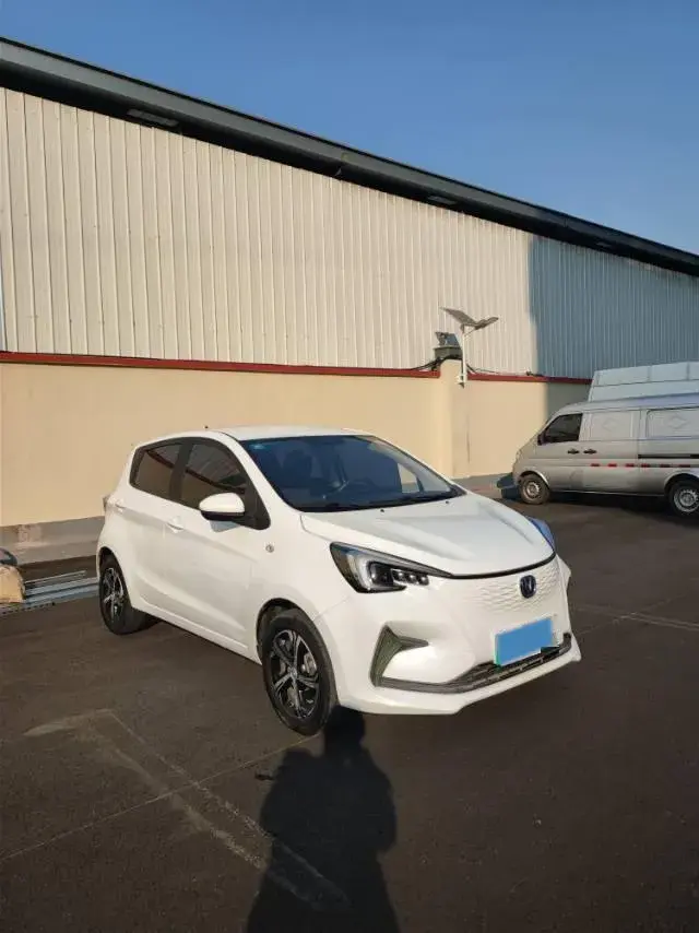 2020 CHANGAN BENBEN thumbnail 3