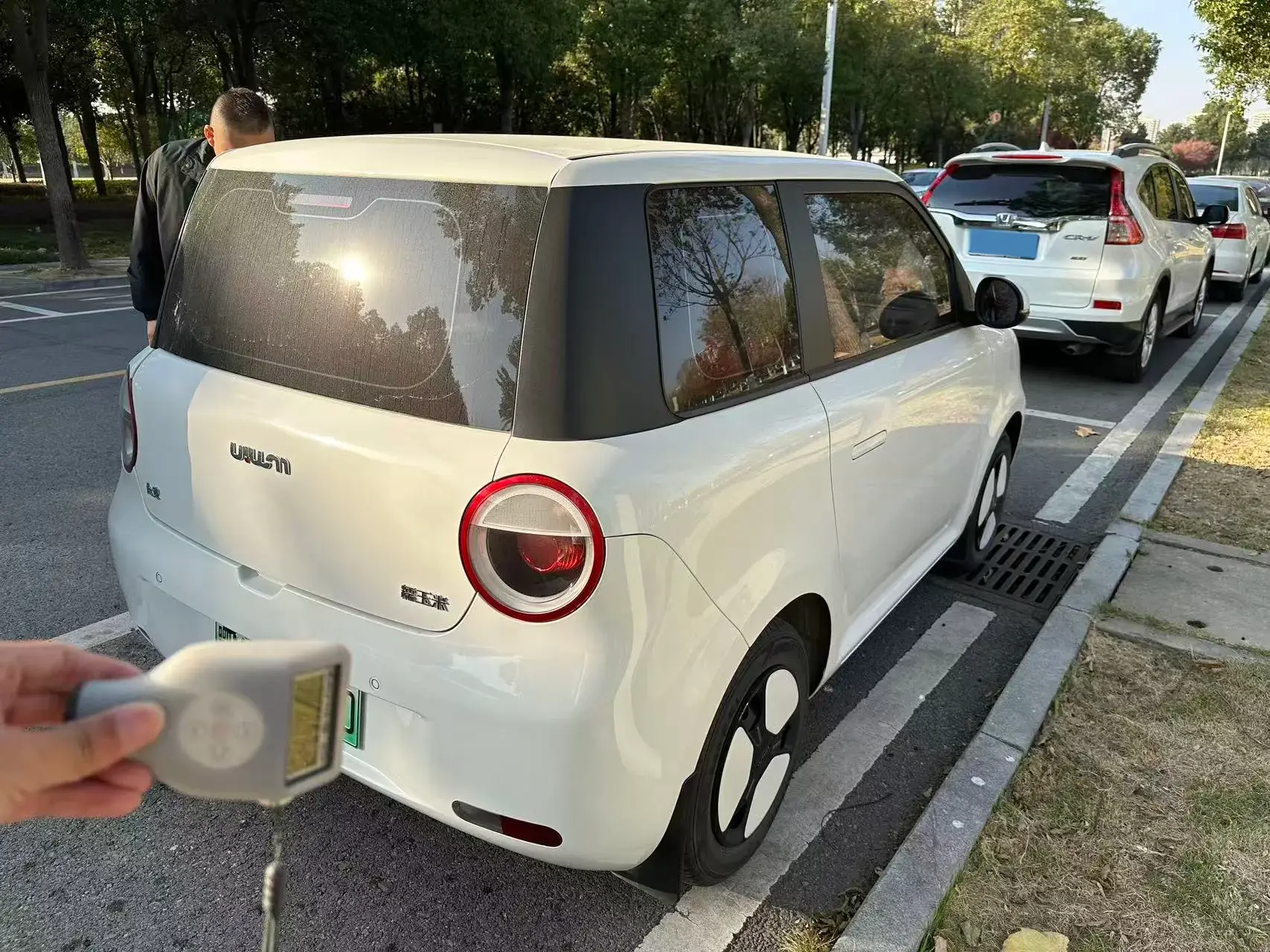 2022 LEVDEO MANGO thumbnail 2