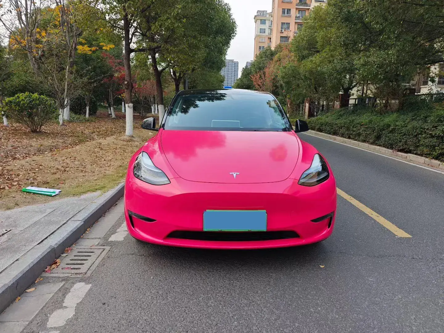 2024 ROXPLOESTONE 01 thumbnail 2