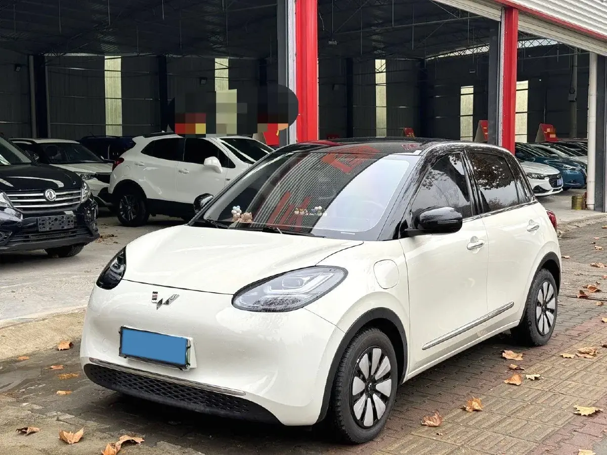 2023 WuLing BinGuo BEV 31.9KWH