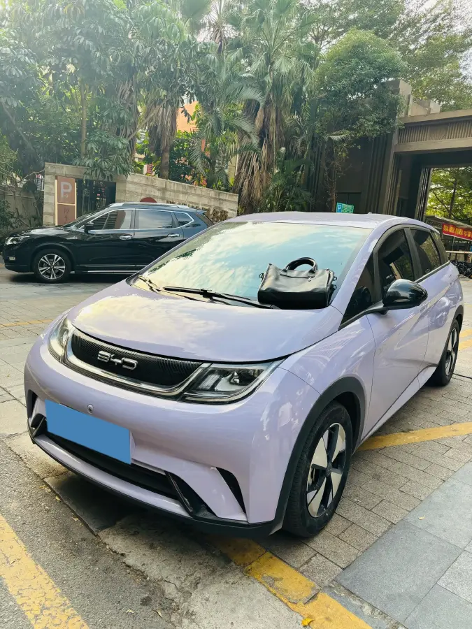 2023 BYD Dolphin BEV 44.928KWH