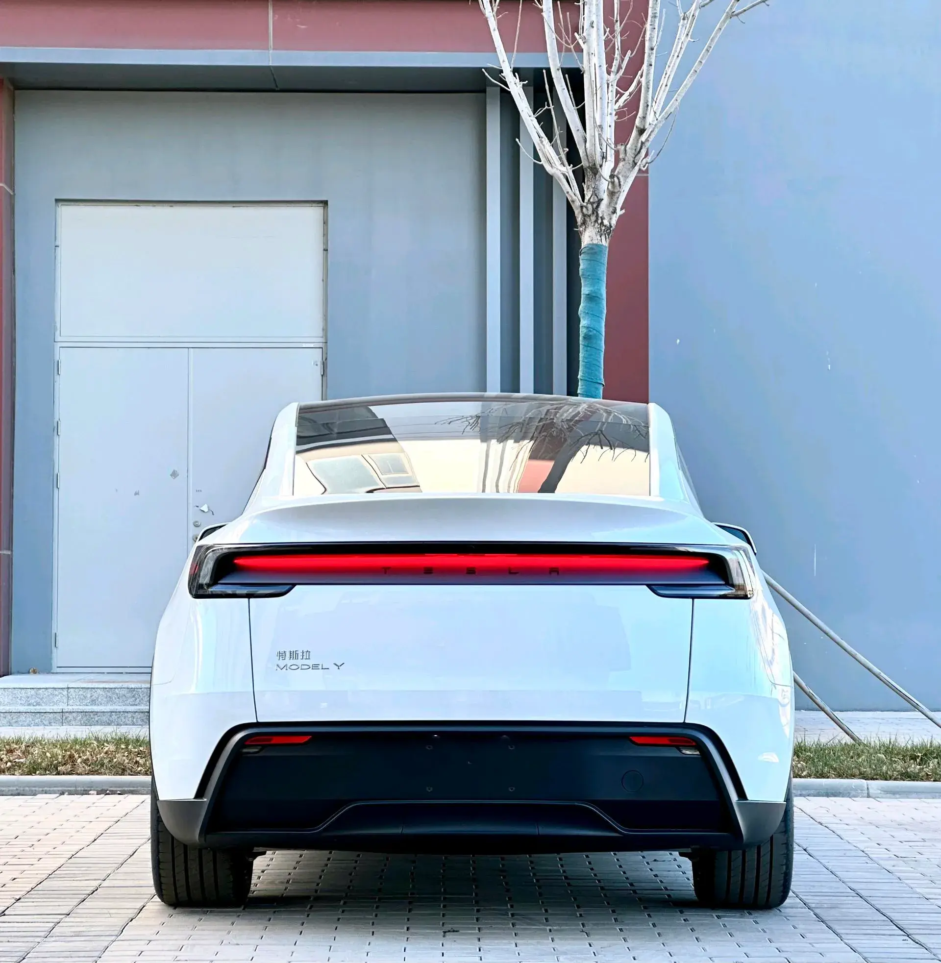 2025 TESLA MODEL thumbnail 4