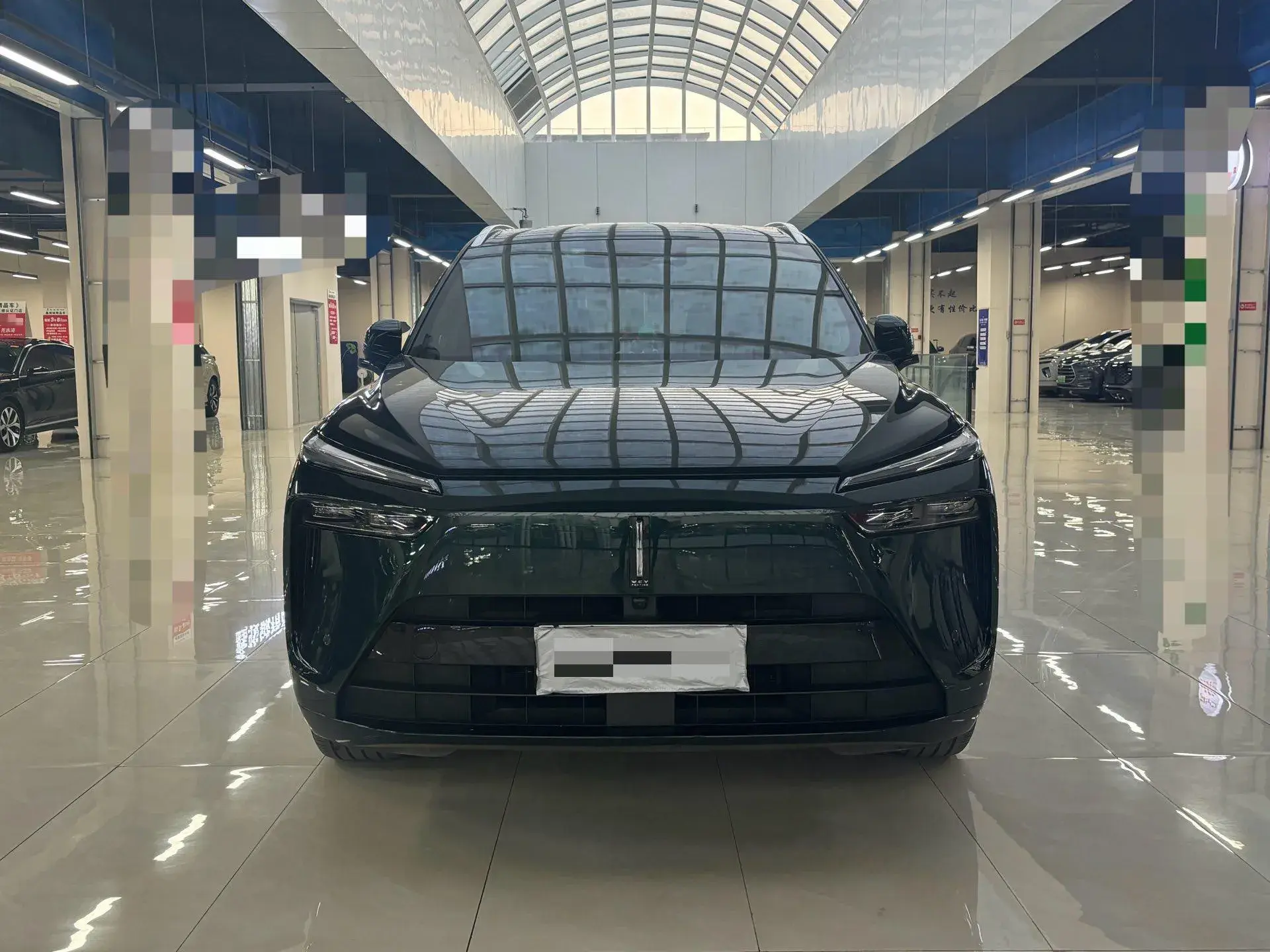 2023 WEY BLUEMOUNTAIN thumbnail 2