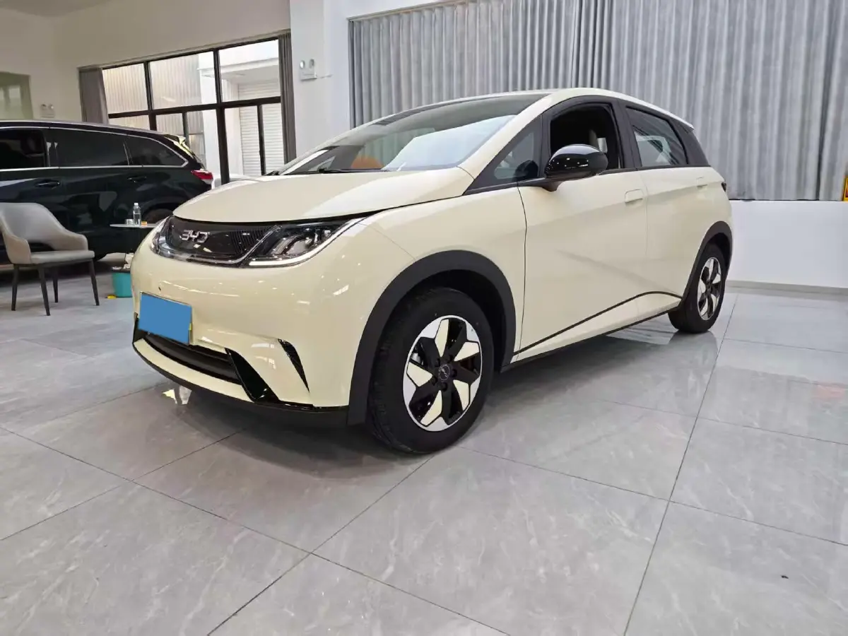 2025 BYD Dolphin BEV 44.928KWH