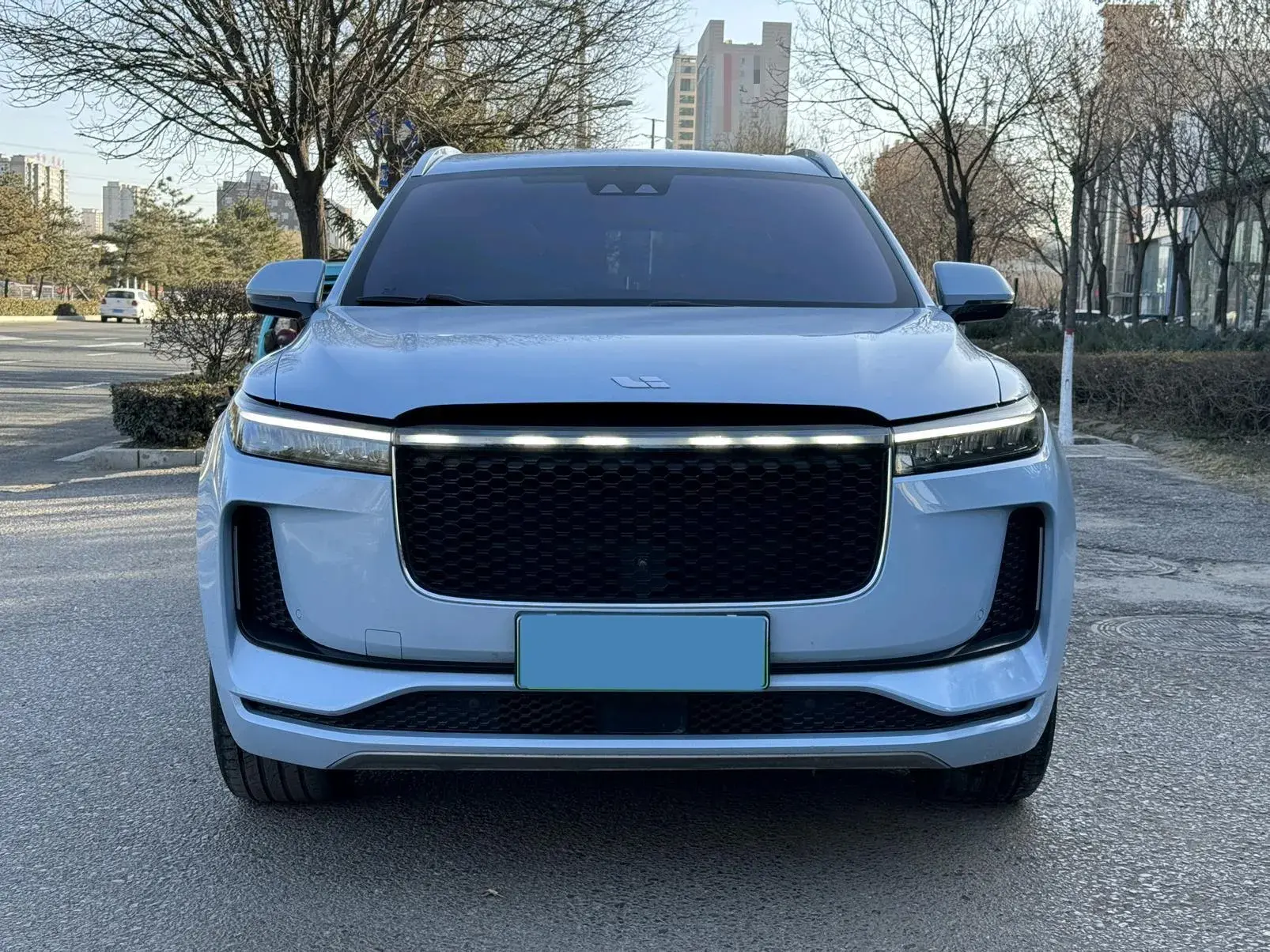 2020 LI ONE thumbnail 2