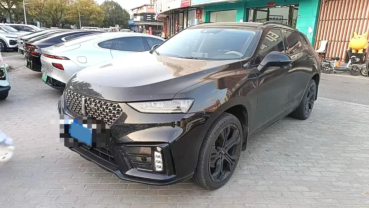 2020 WEY VV7 2.0T 227HP L4 7DCT