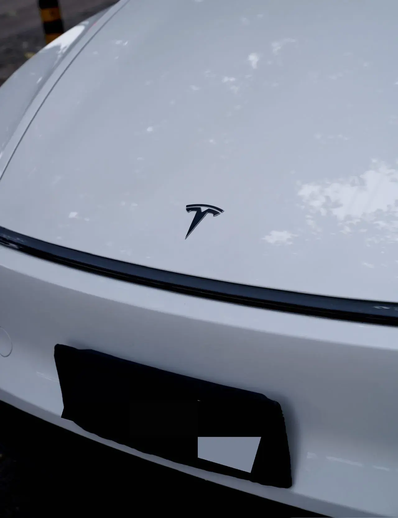2025 TESLA MODEL thumbnail 4