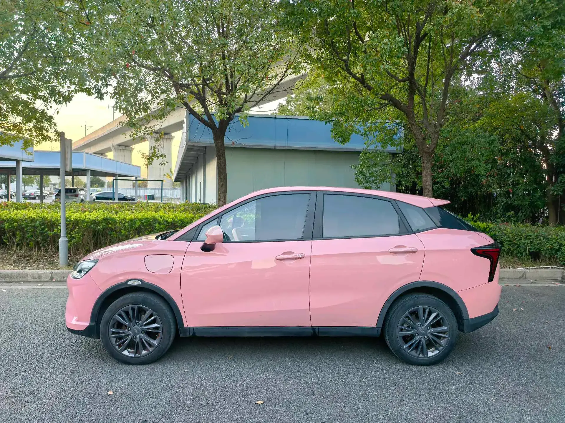 2021 NETA V thumbnail 2