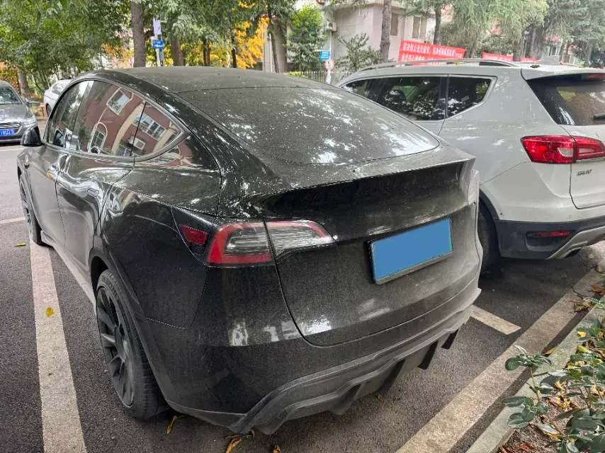 2021 TESLA MODEL thumbnail 4