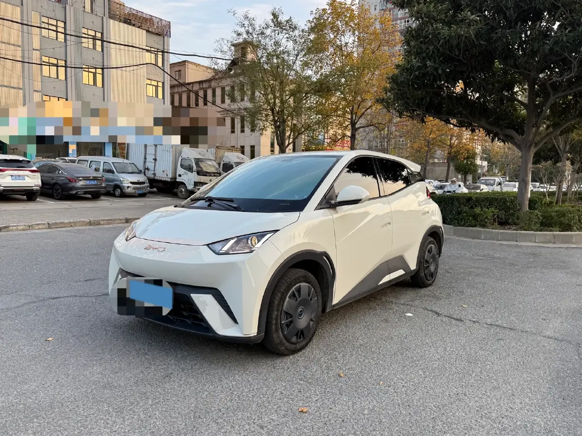 2024 BYD Seagull BEV 30.08KWH