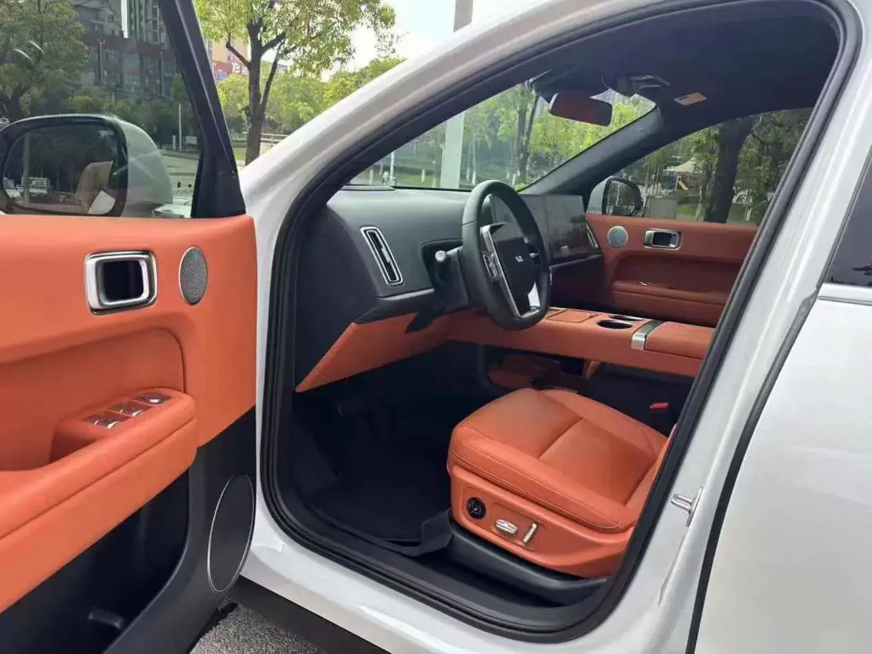 2025 LI L6 thumbnail 3