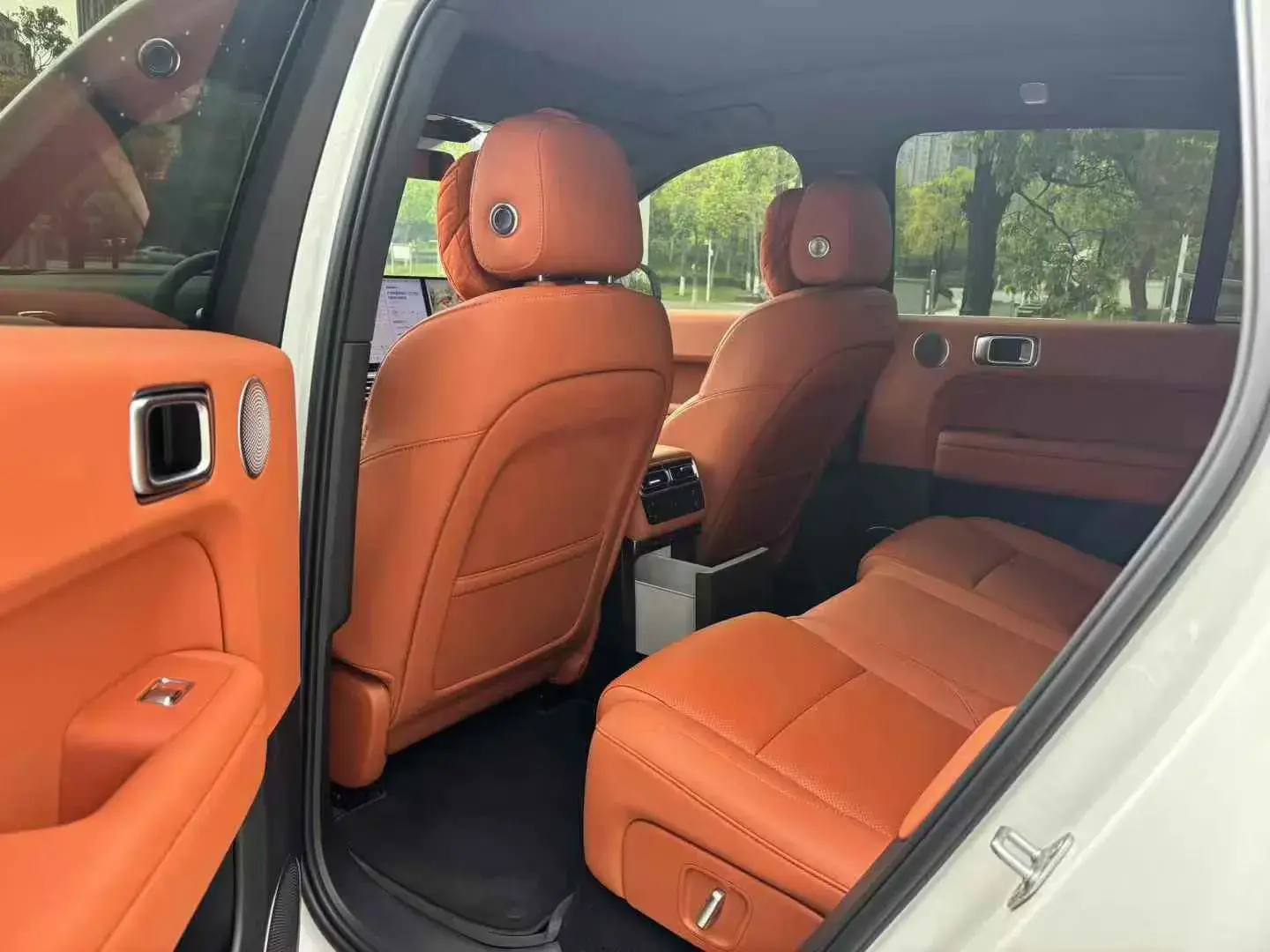 2025 LI L6 thumbnail 4