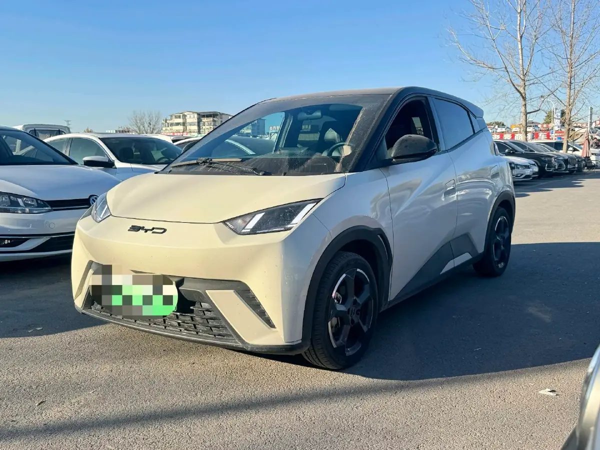 2024 BYD Seagull BEV 30.08KWH