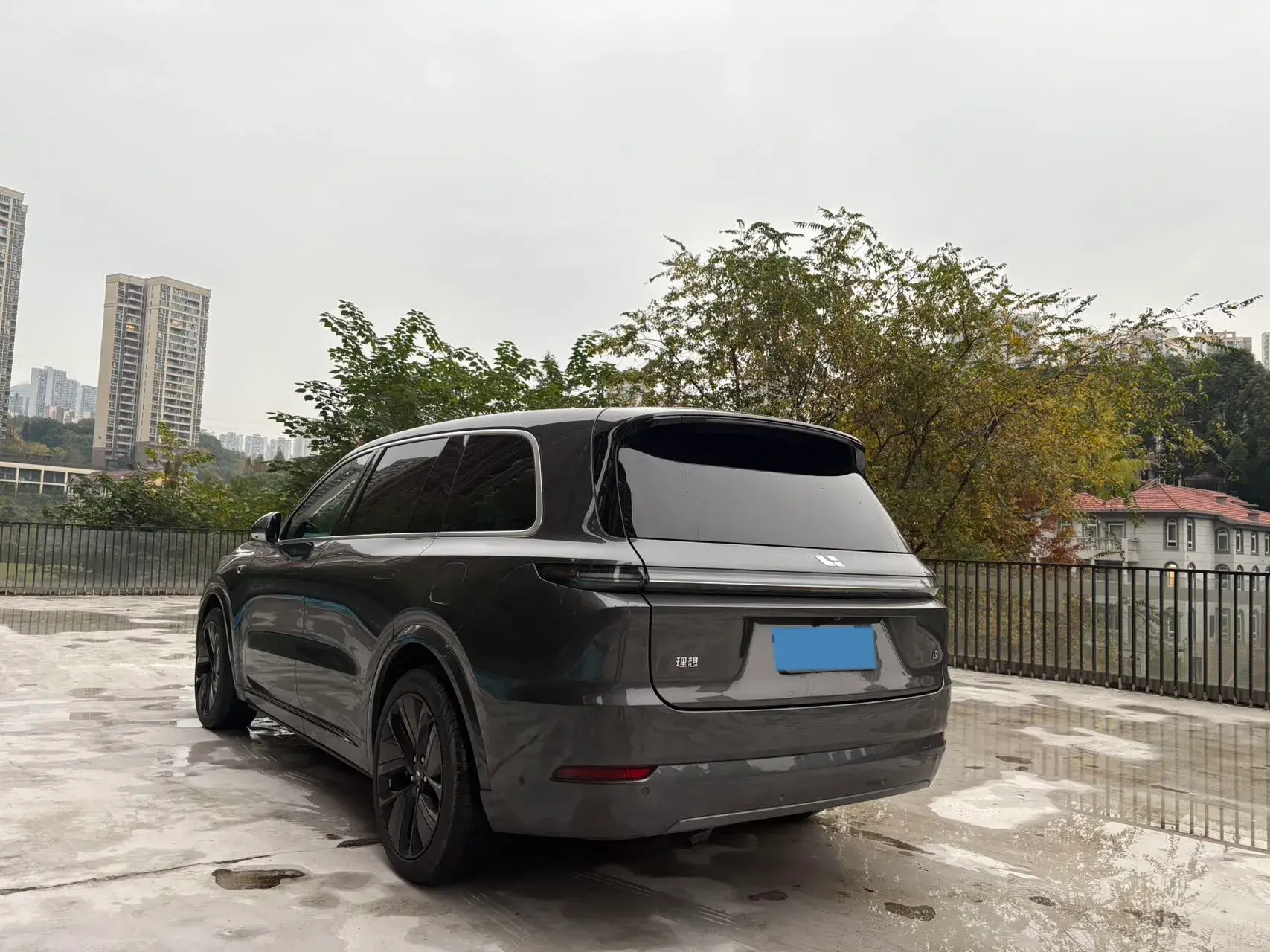 2022 LI L9 thumbnail 3