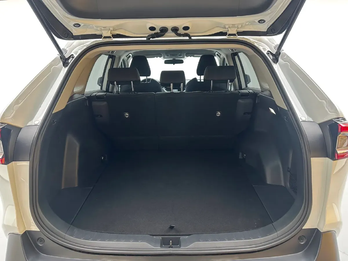 2024 Toyota Wildlander 2.0L 171HP L4 CVT,autocango,china used car exporter,china ev exporter,chinese used car exporter,chinese used ev exporter