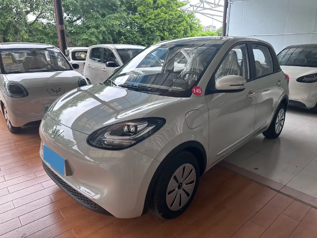 2024 WuLing BinGuo BEV 17.3KWH