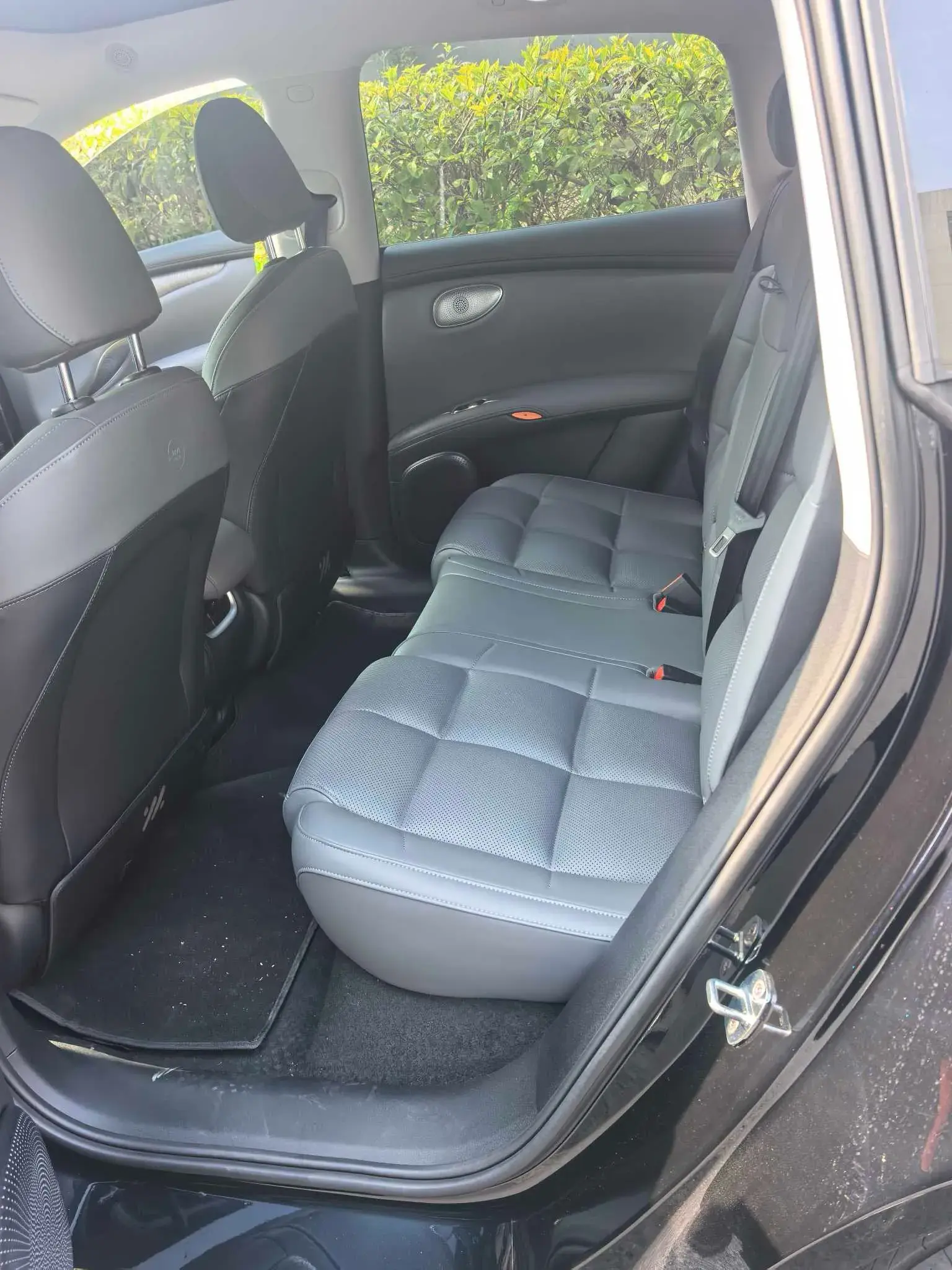 2025 IM LS6 thumbnail 3