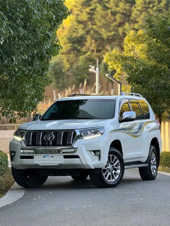 2019 Toyota Land Cruiser Prado 3.5L 280HP V6 6AT