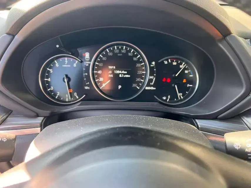 2022 DAYUN M1 thumbnail 2