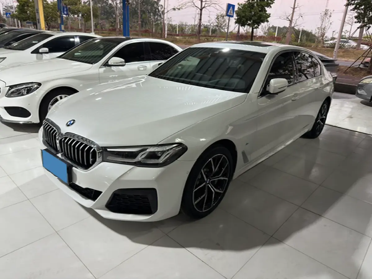 2021 BMW 5 Series 2.0T 252HP L4 8AT