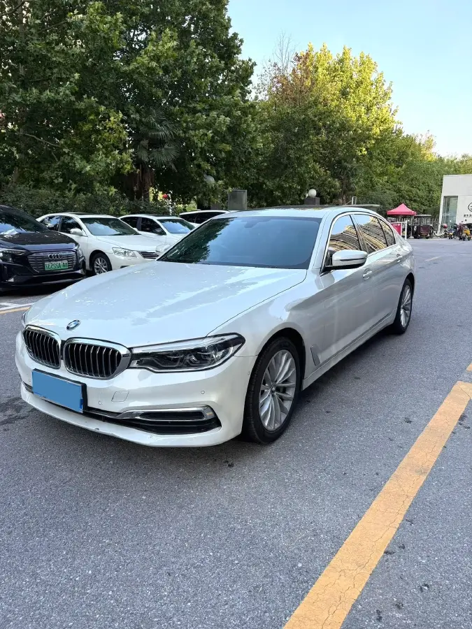 2020 BMW 5 Series 2.0T 252HP L4 8AT