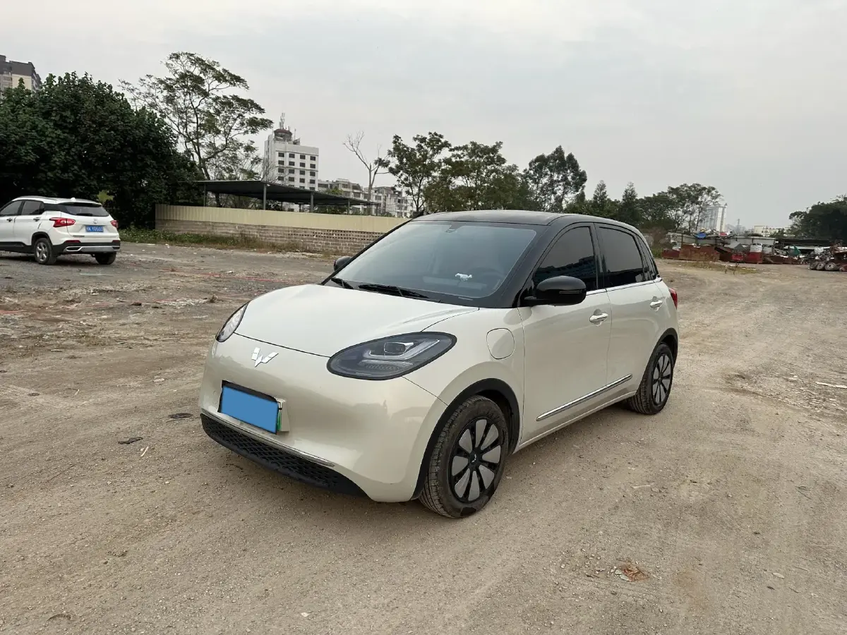 2024 WuLing BinGuo BEV 31.9KWH