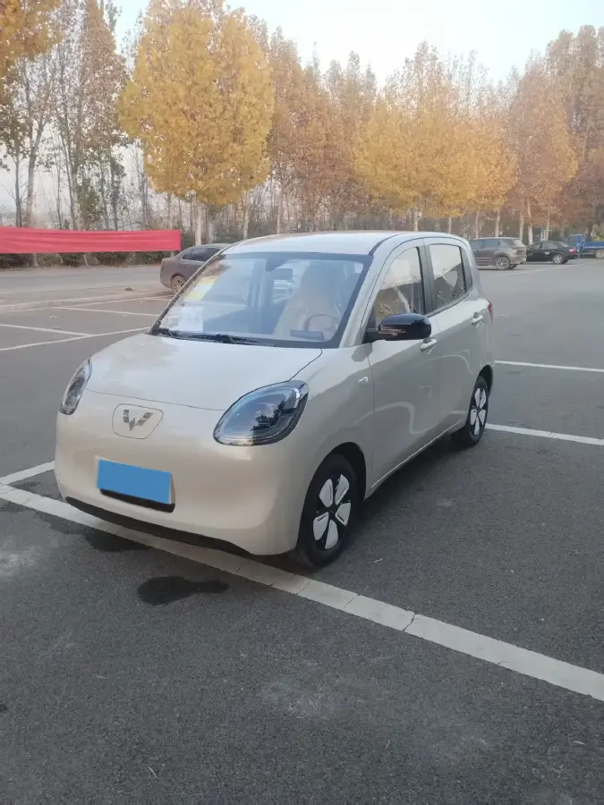 2025 WuLing HongGuang MINI EV BEV 16.2KWH