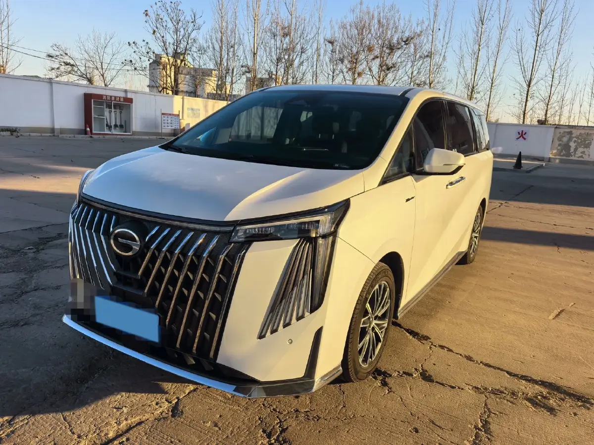 2024 GAC Trumpchi M8 2.0T 252HP L4 8AT