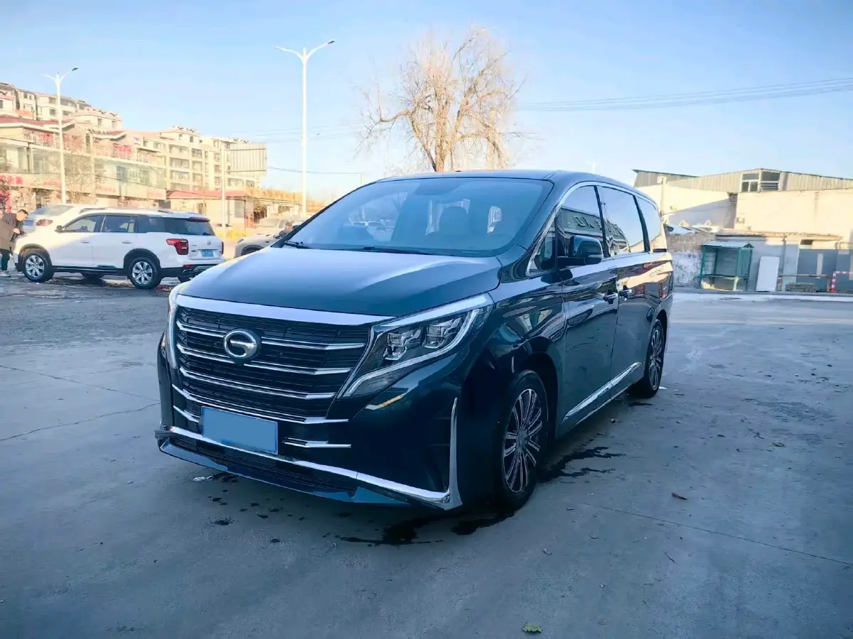 2021 GAC Trumpchi M8 2.0T 252HP L4 8AT
