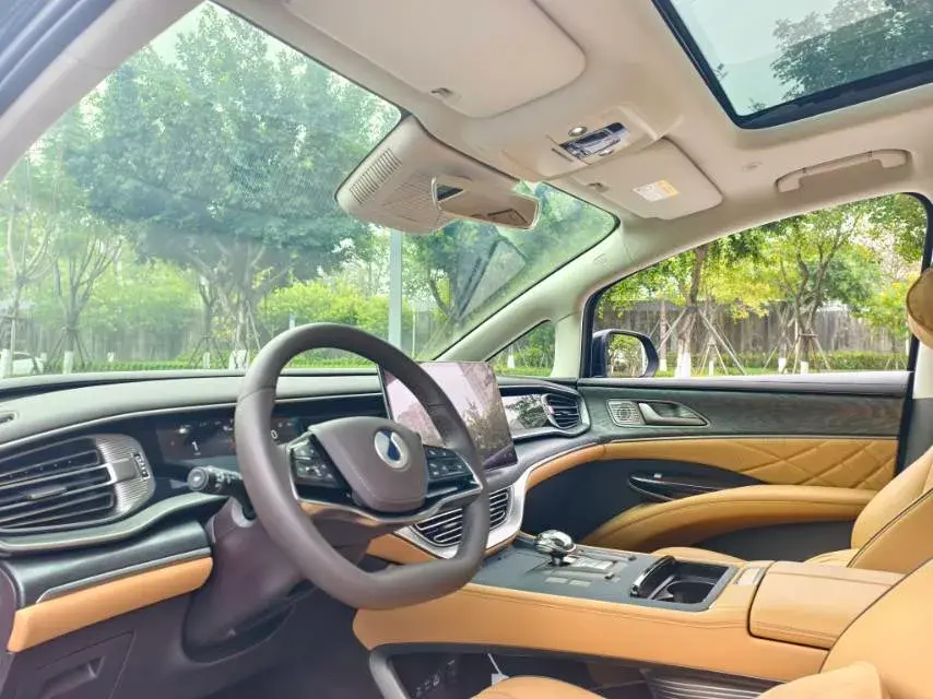 2024 DENZA D9 thumbnail 4