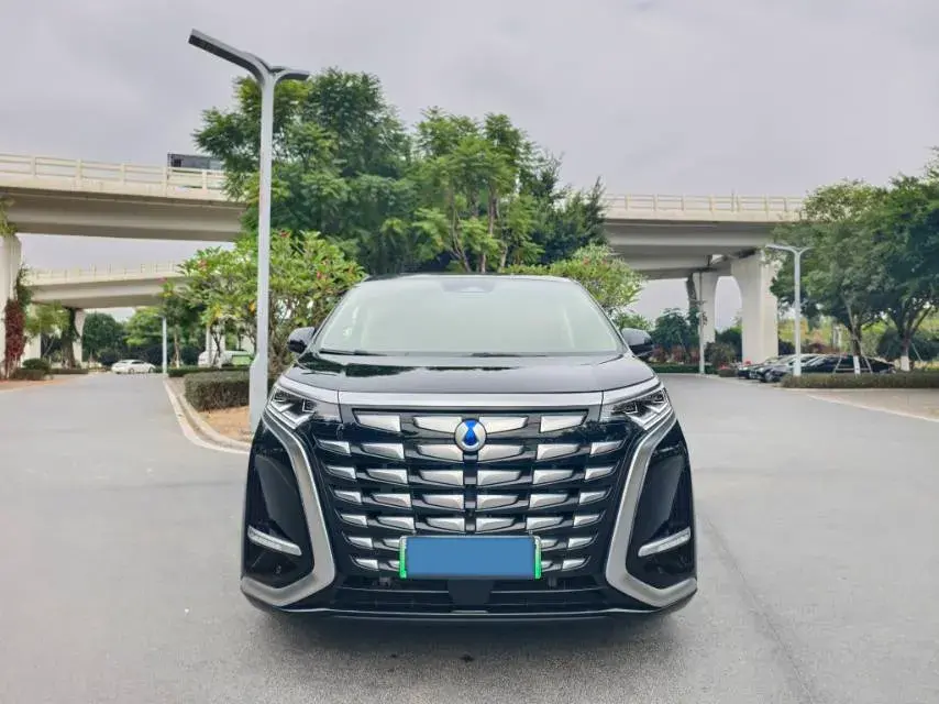 2024 DENZA D9 thumbnail 2