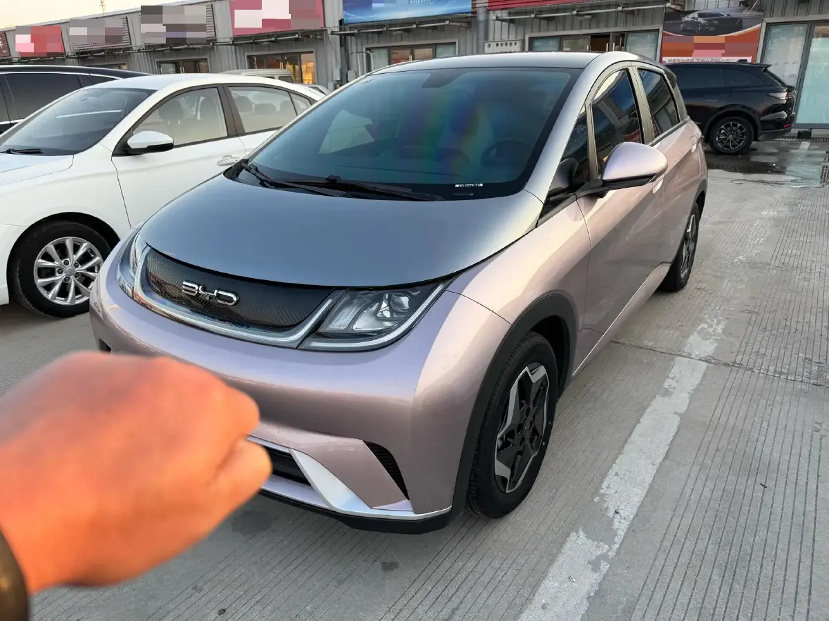 2021 BYD Yuan Pro BEV 50.1KWH