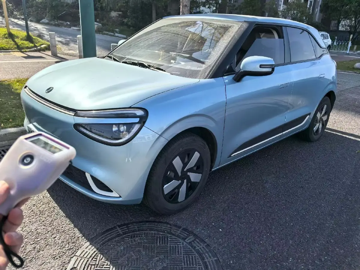 2024 DongFeng Nammi 01 BEV 42.3KWH