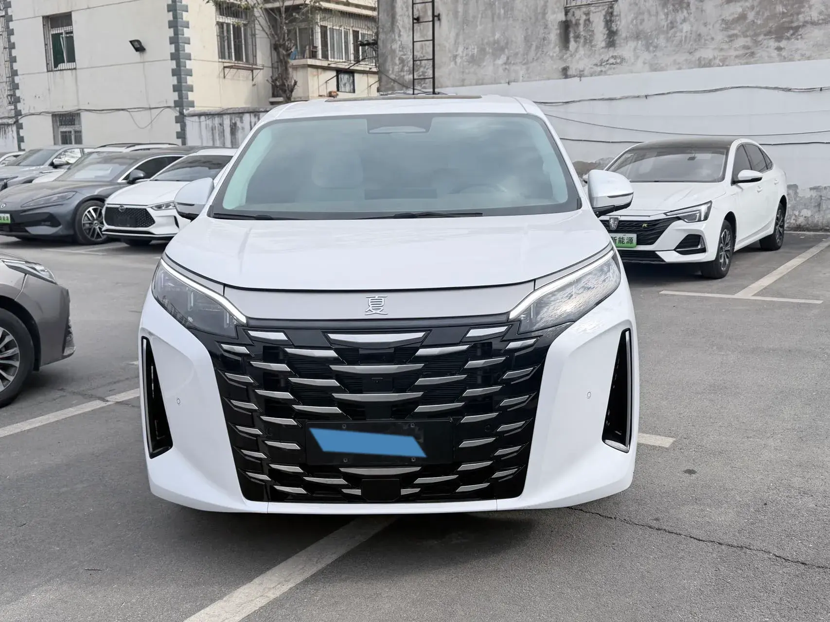 2025 BYD XIA thumbnail 2